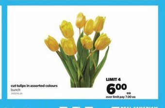 Real Canadian Superstore Cut tulips in assorted colours offer