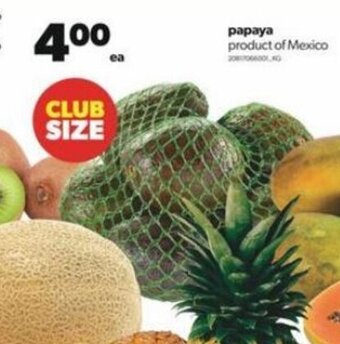 Real Canadian Superstore Avocado offer
