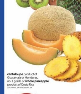 Real Canadian Superstore Cantaloupe offer