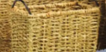London Drugs Collection by london drugs segrass & metal basket extra small offer