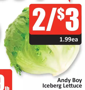 Starsky Andy boy iceberg lettuce offer