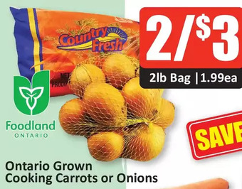 Starsky Ontario grown cooking carrots or onions offer