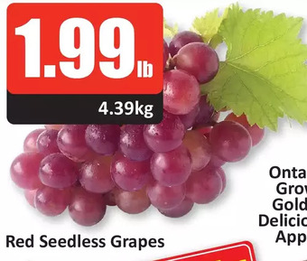 Starsky Red seedless grapes offer