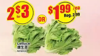 Btrust Supermarket Lettuce offer
