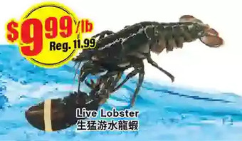 Btrust Supermarket Live lobster offer