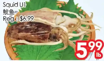 Superking Supermarket Squid u1 offer