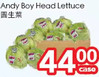 Superking Supermarket Andy boy head lettuce offer