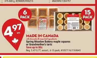 Giant Tiger Spring meadow bakery maple squares offer