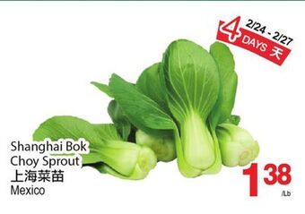 T&T Supermarket Shanghai bok choy sprout offer