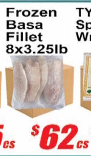 Frozen basa fillet 8x3.25lb