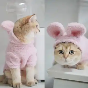 Petland Fluffy bunny costume blue & pink offer