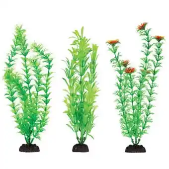 Petland Aquaplant 12in green 6pc bag offer