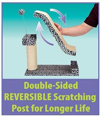 Petland Cat scratching board & sisal post activity center offer