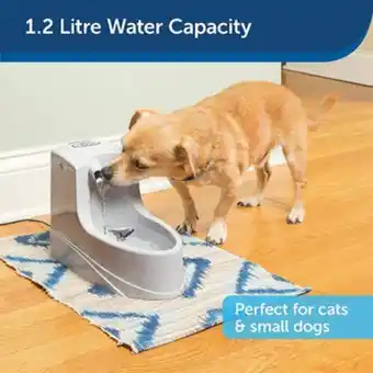 Petland Drinkwell mini pet fountain offer