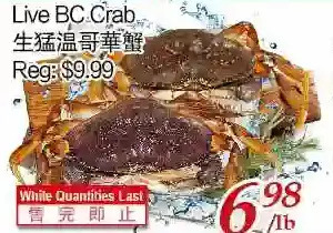 Tone Tai Supermarket Live bc crab offer