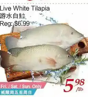 Tone Tai Supermarket Live white tilapia offer
