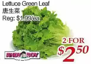 Tone Tai Supermarket Lettuce green leaf offer