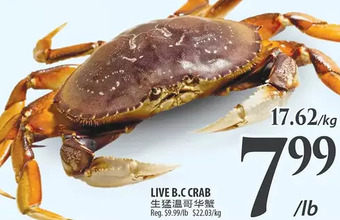 Al Premium Food Mart Live b.c crab offer
