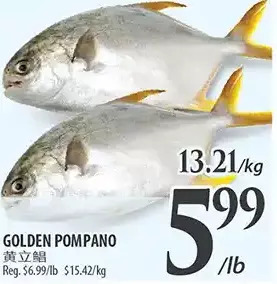 Al Premium Food Mart Golden pompano offer