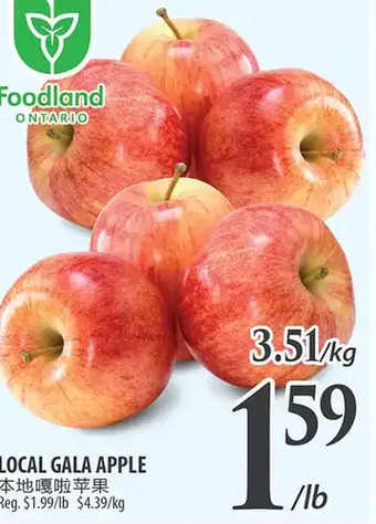 Al Premium Food Mart Local gala apple offer
