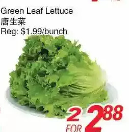 Foody World Green leaf lettuce offer