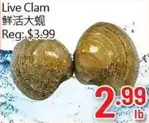 Hong Tai Supermarket Live clam offer
