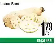 Nations Fresh Foods Lotus root offer
