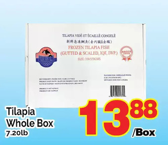 T&T Supermarket Tilapia whole box offer