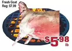 Top Food Supermarket Fresh goat offer