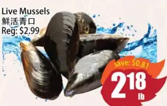 Field Fresh Supermarket Live Mussels offer