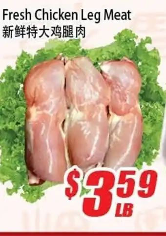 Fresh Chicken Leg Meat