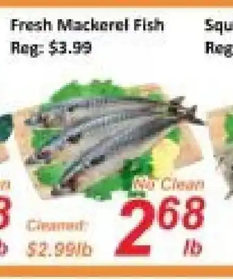 Fresh Win Foodmart Fresh Mackerel Fish offer