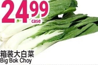Big Bok Choy