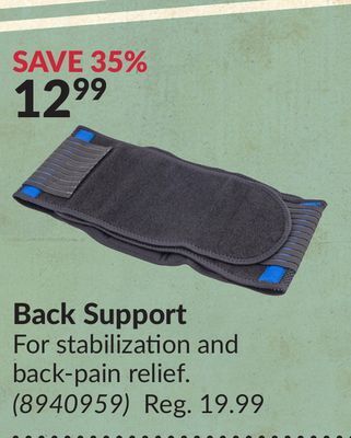 Princess Auto Back support offer