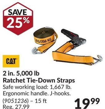Princess Auto Ratchet tie-down straps offer