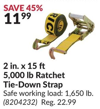 Princess Auto Ratchet tie-down strap offer