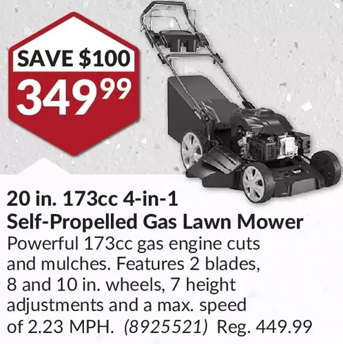 Princess auto best sale lawn mower engine