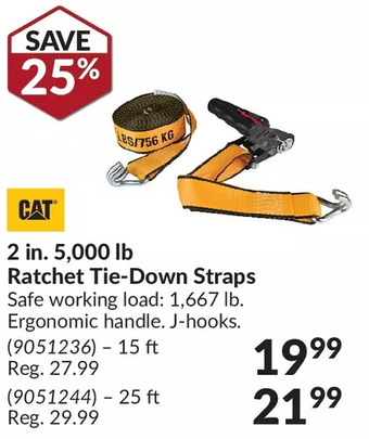 Princess Auto Cat 2 in. 5,000 lb ratchet tie -down straps offer