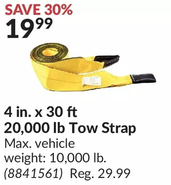 Princess Auto Erickson 4 in. x 30 ft 20,000 lb tow strap offer