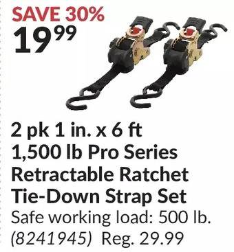 Princess Auto 2 pk 1 in. x 6 ft 1,500 lb pro series retractable ratchet tie-down strap set offer