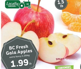 IGA BC Fresh Gala Apples offer