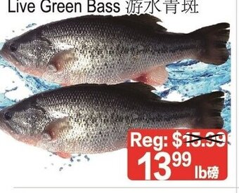 Yuan Ming Supermarket Live Green Bass offer