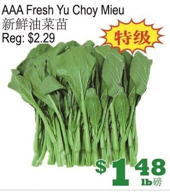 Yuan Ming Supermarket AAA Fresh Yu Choy Mieu offer