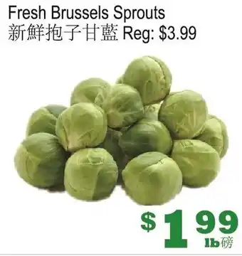 Yuan Ming Supermarket Fresh Brussels Sprouts offer
