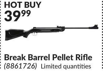 Princess Auto Break barrel pellet rifle offer