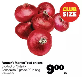 Real Canadian Superstore Farmer's market red onions offer