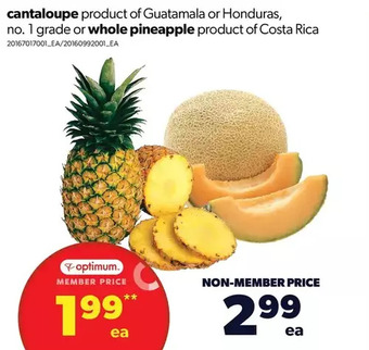 Real Canadian Superstore Cantaloupe or whole pineapple offer