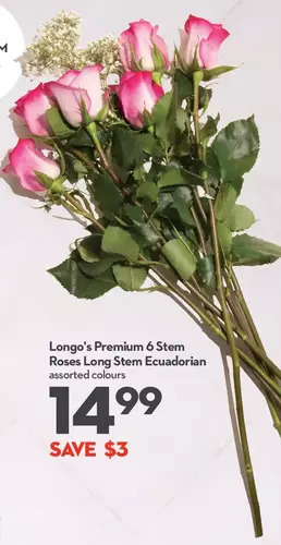 Longo's Longo's premium 6 stem roses long stem ecuadorian offer