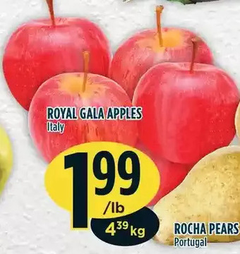 Marché Adonis Royal gala apples offer