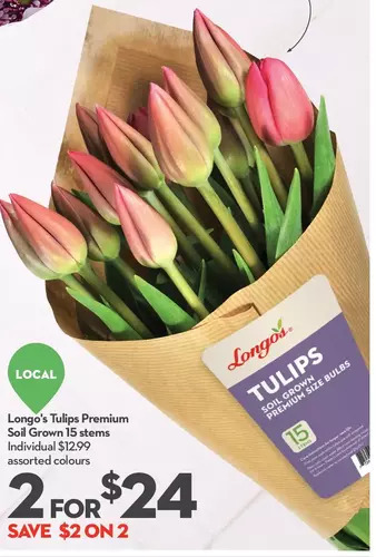 Longo's Longo's tulips premium soil grown 15 stems offer